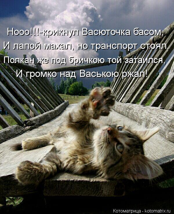 Котоматрица: Нооо!!!-крикнул Васюточка басом, И лапой махал, но транспорт стоял. И громко над Ваською ржал! Полкан же под бричкою той затаился,