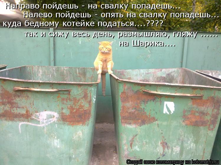 Котоматрица: Направо пойдешь - на свалку попадешь... Налево пойдешь - опять на свалку попадешь... куда бедному котейке податься....???? так и сижу весь день, ра