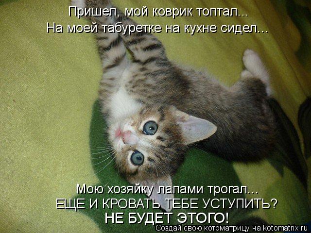 Котоматрица: Пришел, мой коврик топтал... На моей табуретке на кухне сидел... Мою хозяйку лапами трогал... ЕЩЕ И КРОВАТЬ ТЕБЕ УСТУПИТЬ? НЕ БУДЕТ ЭТОГО!