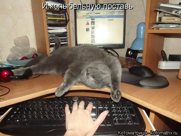 Котоматрица: И колыбельную поставь