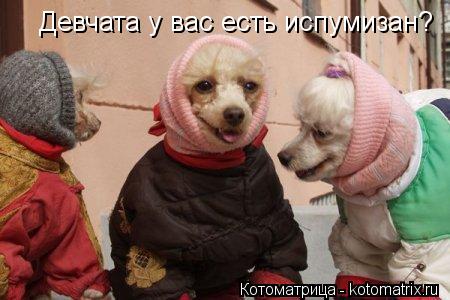 Котоматрица: Девчата у вас есть испумизан?
