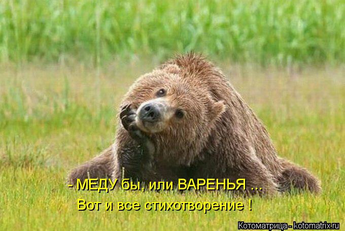 Котоматрица: - МЕДУ бы,  - МЕДУ бы, или ВАРЕНЬЯ ... Вот и все стихотворение !
