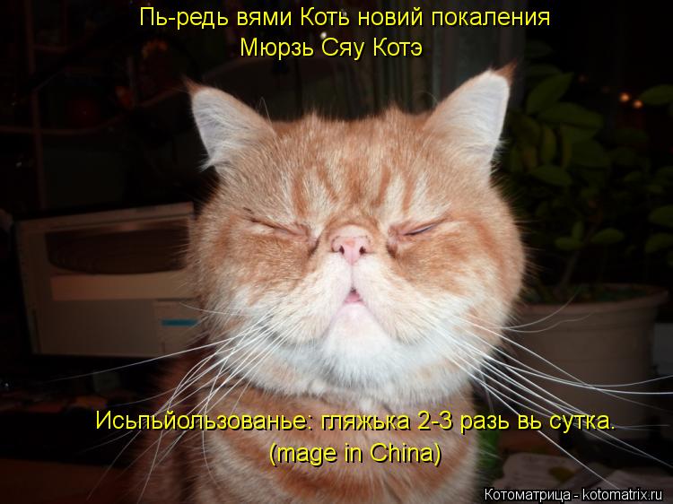 Котоматрица: Пь-редь вями Коть новий покаления Мюрзь Сяу Котэ Исьпьйользованье: гляжька 2-3 разь вь сутка. (mage in China)
