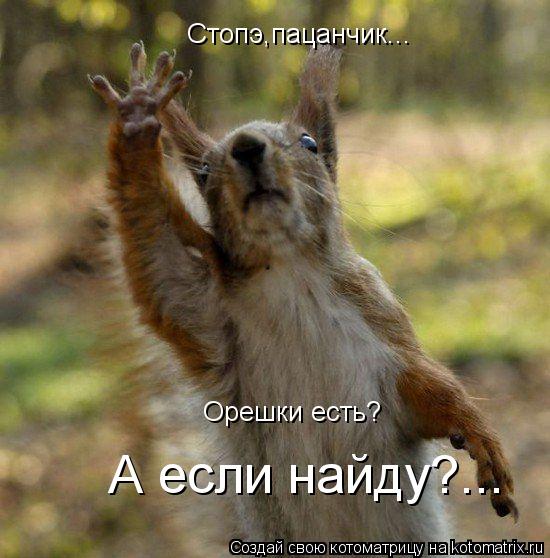 Котоматрица: Стопэ,пацанчик... Орешки есть? А если найду?...