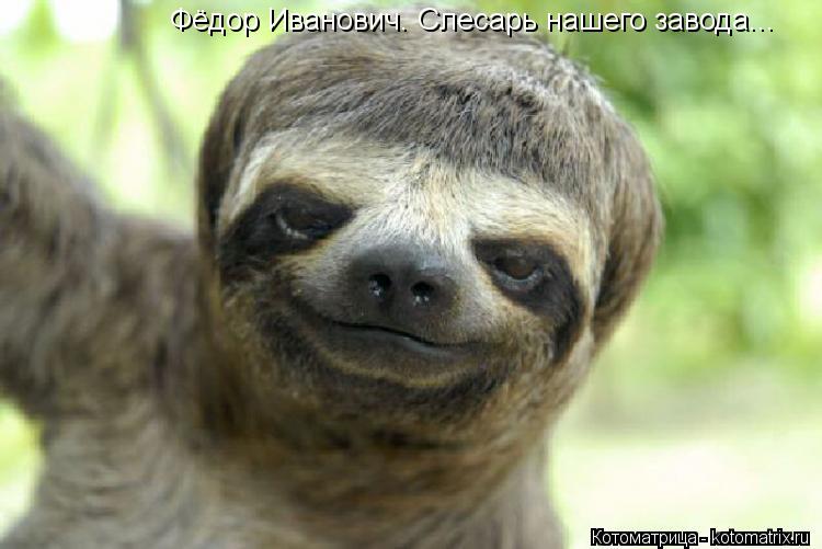 Котоматрица: Фёдор Иванович. Слесарь нашего завода...