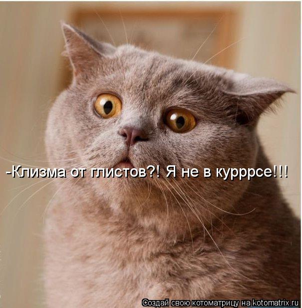 -Клизма от глистов?! Я не в курррсе!!!... Котоматрица: -Клизма от глистов?! Я не в курррсе!!!