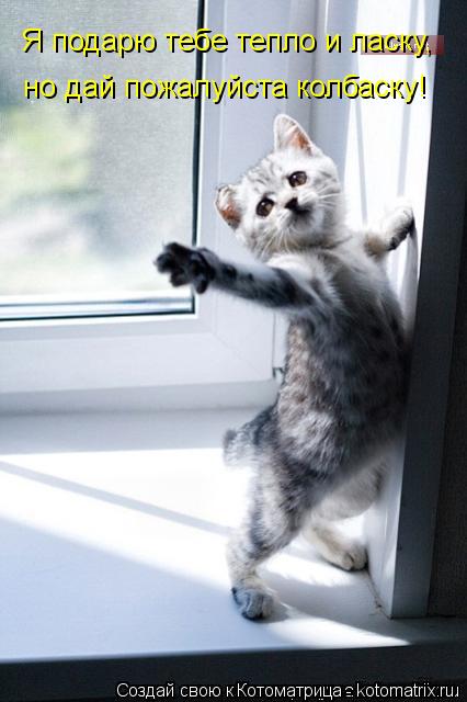 Котоматрица: Я подарю тебе тепло и ласку, но дай пожалуйста колбаску!