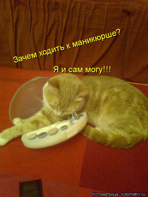 Котоматрица: Зачем ходить к маникюрше? Я и сам могу!!!