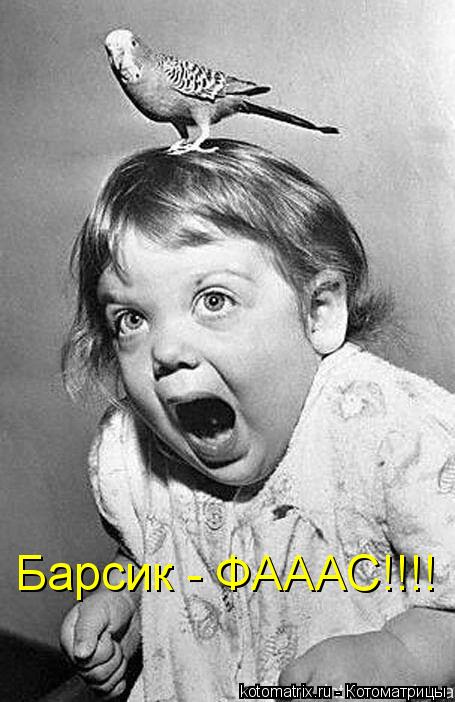 Котоматрица: Барсик - ФАААС!!!!