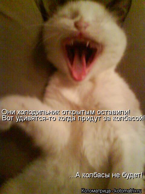 Котоматрица: Они холодильник открытым оставили! Вот удивятся-то когда придут за колбасой! ...А колбасы не будет!