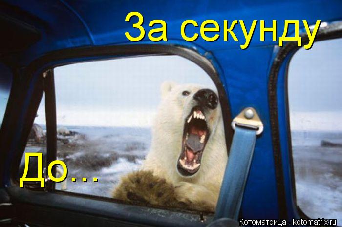 Котоматрица: За секунду  До...