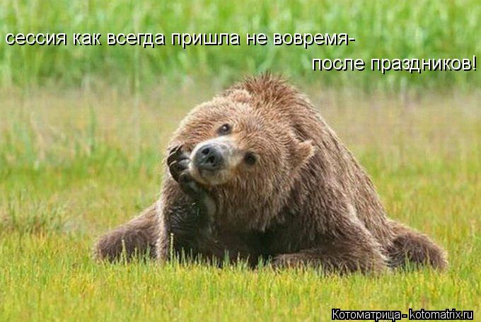 Котоматрица: сессия как всегда пришла не вовремя- после праздников!