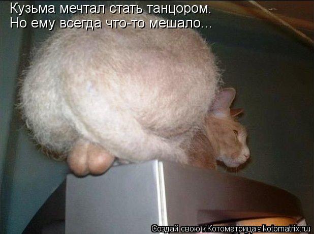 Котоматрица: Кузьма мечтал стать танцором.  Но ему всегда что-то мешало...