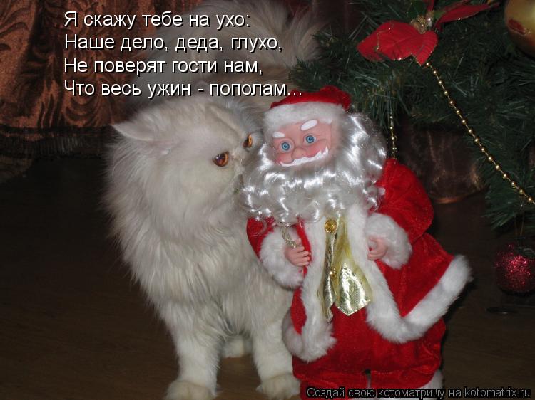 Котоматрица: Я скажу тебе на ухо: Наше дело, деда, глухо, Не поверят гости нам, Что весь ужин - пополам...