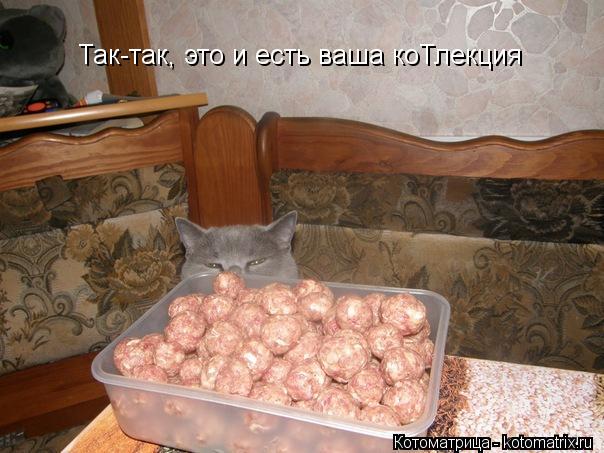 Котоматрица: Так-так, это и есть ваша коТлекция