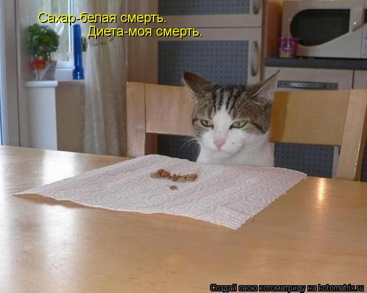 Котоматрица: Сахар-белая смерть. Диета-моя смерть.
