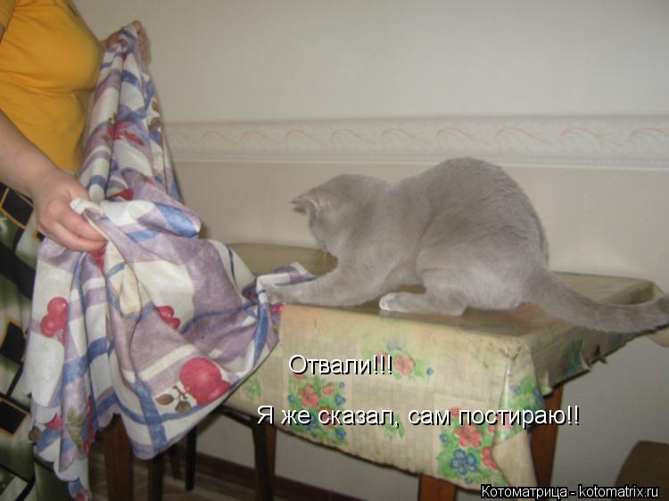 Котоматрица: Отвали!!!  Я же сказал, сам постираю!!