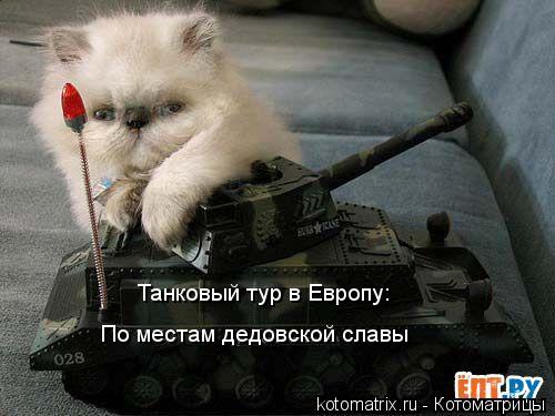 Котоматрица: Танковый тур в Европу: По местам дедовской славы