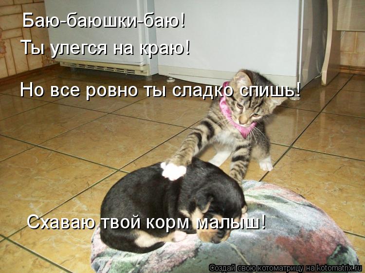 Котоматрица: Баю-баюшки-баю! Ты улегся на краю! Но все ровно ты сладко спишь! Схаваю твой корм малыш!