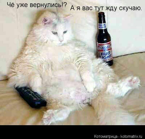 Котоматрица: Чё уже вернулись!? А я вас тут жду скучаю.