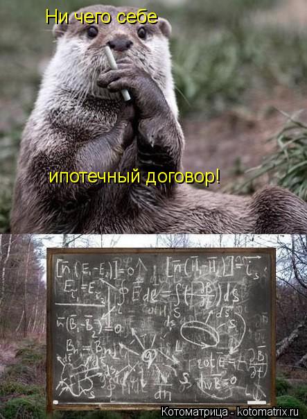 Котоматрица: Ни чего себе ипотечный договор!