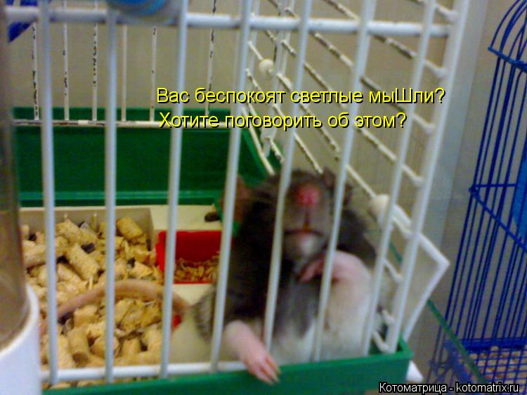 Котоматрица: Вас беспокоят светлые мыШли? Хотите поговорить об этом?