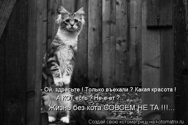 Котоматрица: - Ой, здрасьте ! Только въехали ? Какая красота ! А КОТ есть ? Не-е-ет ?.. Жизнь без кота СОВСЕМ НЕ ТА !!!...