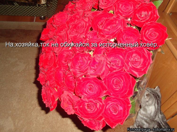 Котоматрица: На,хозяйка,ток не обижайся за испорченный ковёр...