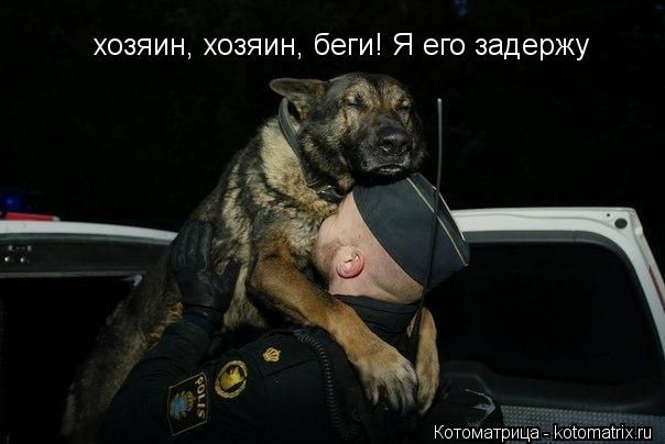 Котоматрица: хозяин, хозяин, беги! Я его задержу