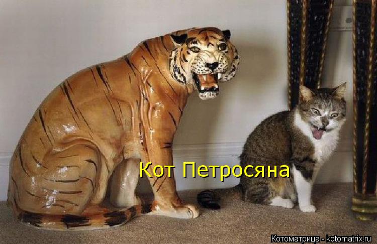 Котоматрица: Кот Петросяна
