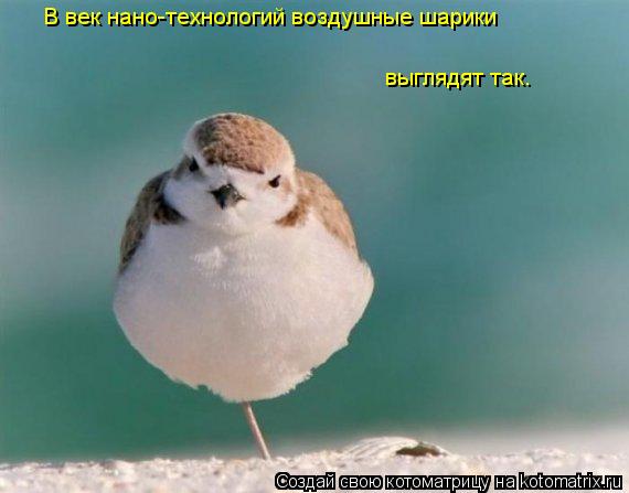 В век нано-технологий воздушные шарики выглядят так.... Котоматрица: В век нано-технологий воздушные шарики выглядят так.