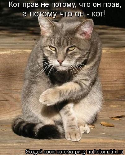 Котоматрица: Кот прав не потому, что он прав, а потому что он - кот!