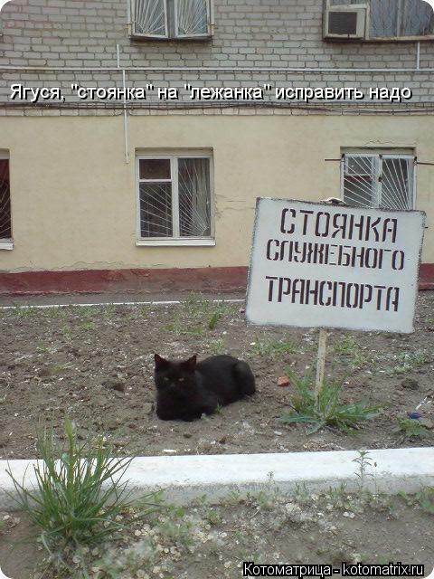 Ягуся, "стоянка" на "лежанка" исправить надо... Котоматрица: Ягуся, "стоянка" на "лежанка" исправить надо