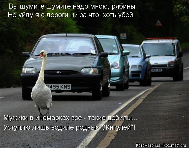 Котоматрица: Вы шумите,шумите надо мною, рябины. Не уйду я с дороги ни за что, хоть убей. Мужики в иномарках все - такие дебилы... Уступлю лишь водиле родных 