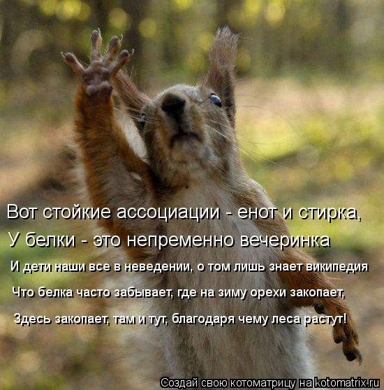 Вот стойкие ассоциации - енот и стирка, У белки - это непременно вечеринка И дети наши все в неведени... Котоматрица: Вот стойкие ассоциации - енот и стирка, У белки - это непременно вечеринка И дети наши все в неведении, о том лишь знает википедия Что белка ч