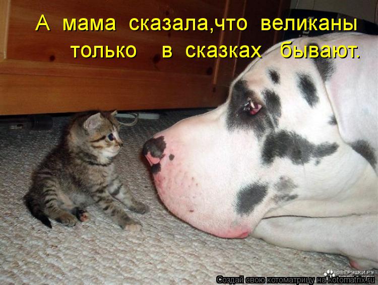 Котоматрица: А  мама  сказала,что  великаны только    в  сказках   бывают.