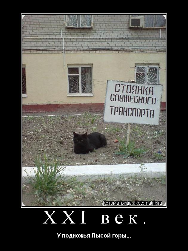 Котоматрица: XXI век.  У подножья Лысой горы...