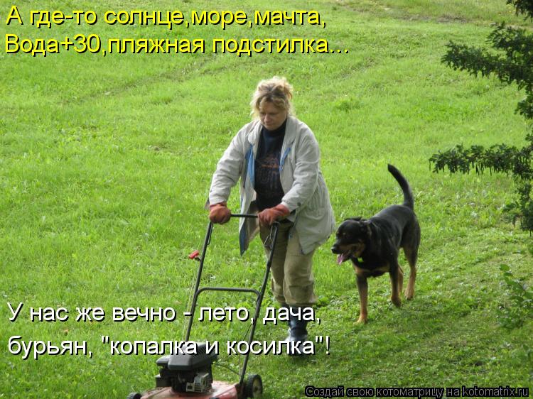 Котоматрица: А где-то солнце,море,мачта, Вода+30,пляжная подстилка... У нас же вечно - лето, дача, бурьян, "копалка и косилка"!