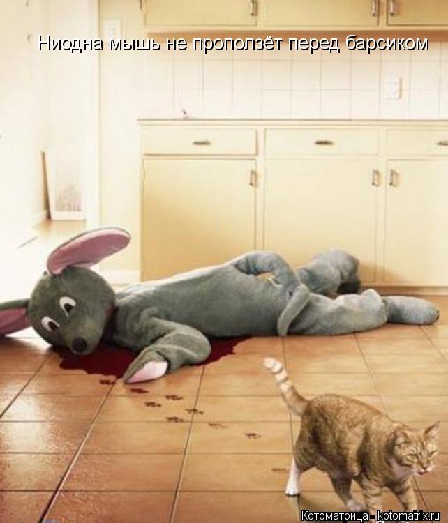 Котоматрица: Ниодна мышь не проползёт перед барсиком