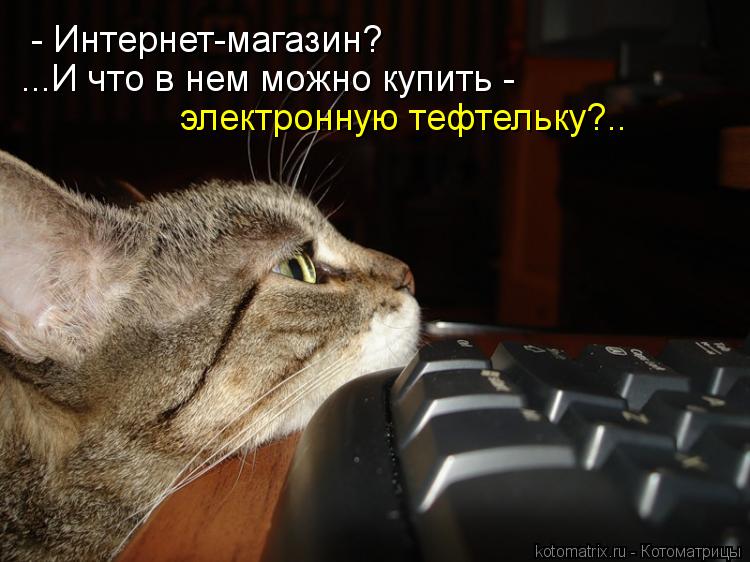 Котоматрица: - Интернет-магазин? ...И что в нем можно купить -  электронную тефтельку?..