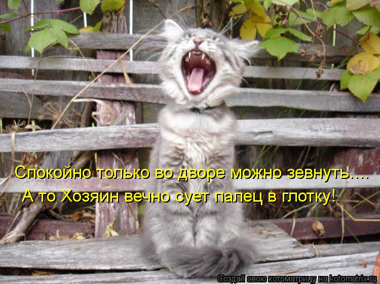 Котоматрица: Спокойно только во дворе можно зевнуть.... А то Хозяин вечно сует палец в глотку!