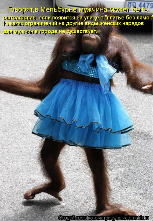 Котоматрица: Говорят,в Мельбурне мужчина может быть   оштрафован, если появится на улице в "платье без лямок". Никаких ограничений на другие виды женских 