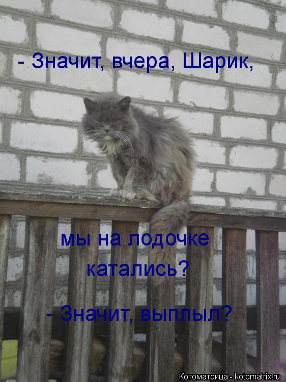 Котоматрица: - Значит, вчера, Шарик, мы на лодочке катались? - Значит, выплыл?