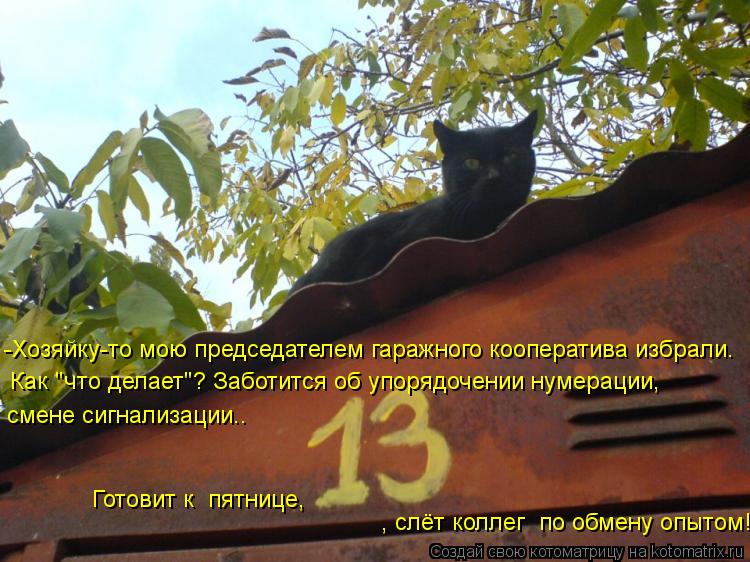 Котоматрица: -Хозяйку-то мою председателем гаражного кооператива избрали. Как "что делает"? Заботится об упорядочении нумерации,  смене сигнализации.. Го