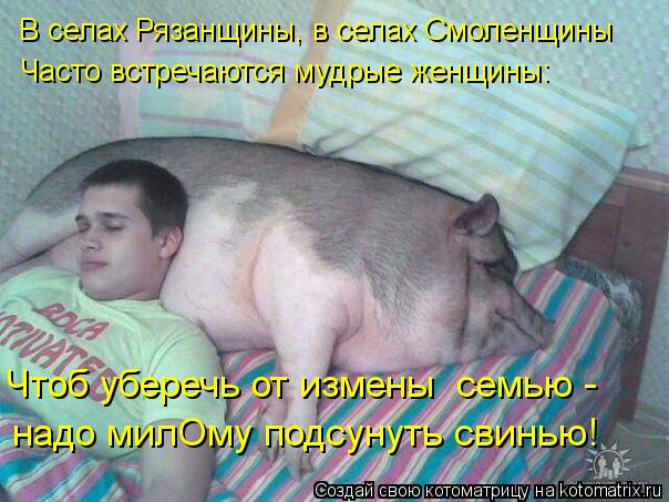 Котоматрица: В селах Рязанщины, в селах Смоленщины Часто встречаются мудрые женщины: Чтоб уберечь от измены  семью - надо милОму подсунуть свинью!