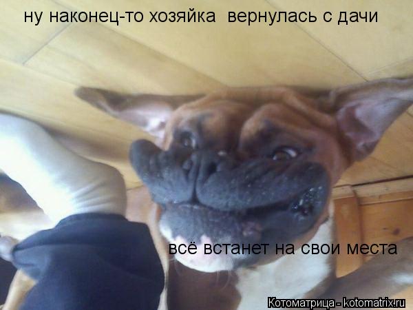 Котоматрица: ну наконец-то хозяйка  вернулась с дачи всё встанет на свои места