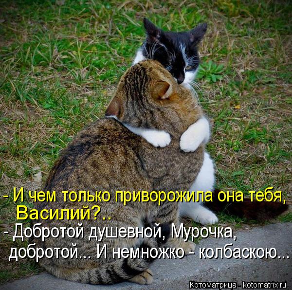 Котоматрица: - И чем только приворожила она тебя, Василий?.. - Добротой душевной, Мурочка, добротой... И немножко - колбаскою...
