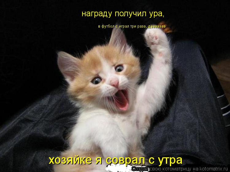 Котоматрица: награду получил ура, хозяйке я соврал с утра в футбол с играл три раза, дааааааа