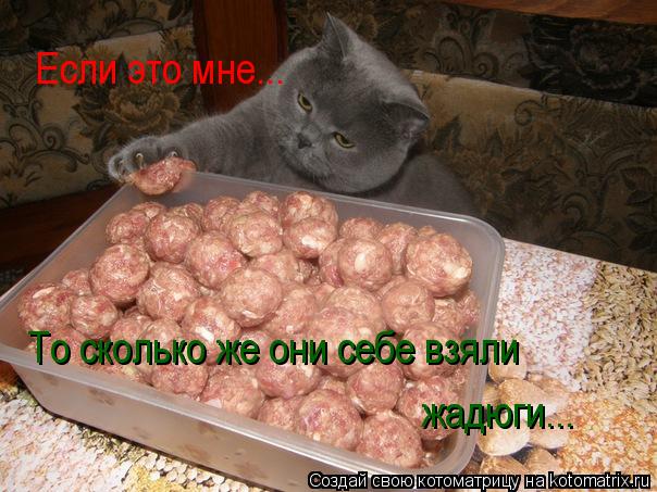 Котоматрица: Если это мне... То сколько же они себе взяли  жадюги...