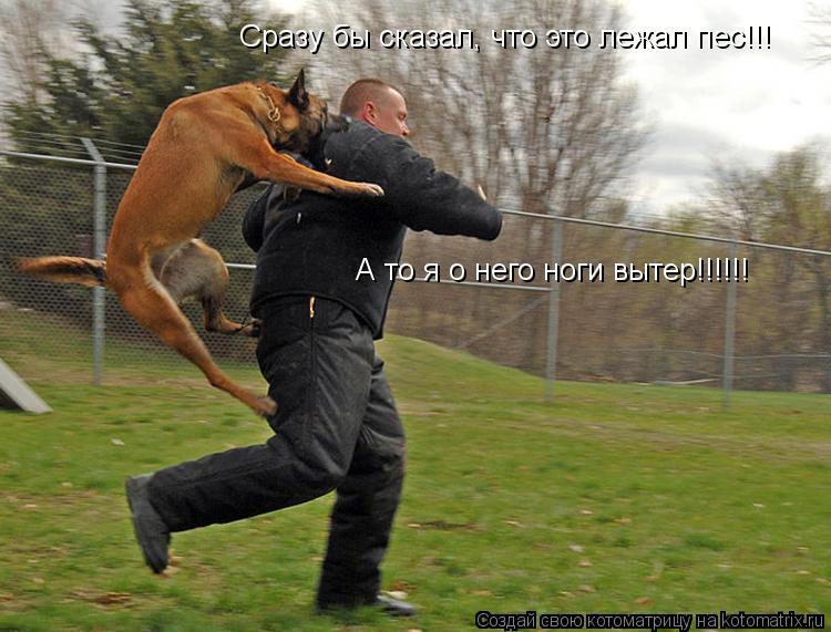 Котоматрица: Сразу бы сказал, что это лежал пес!!! А то я о него ноги вытер!!!!!!